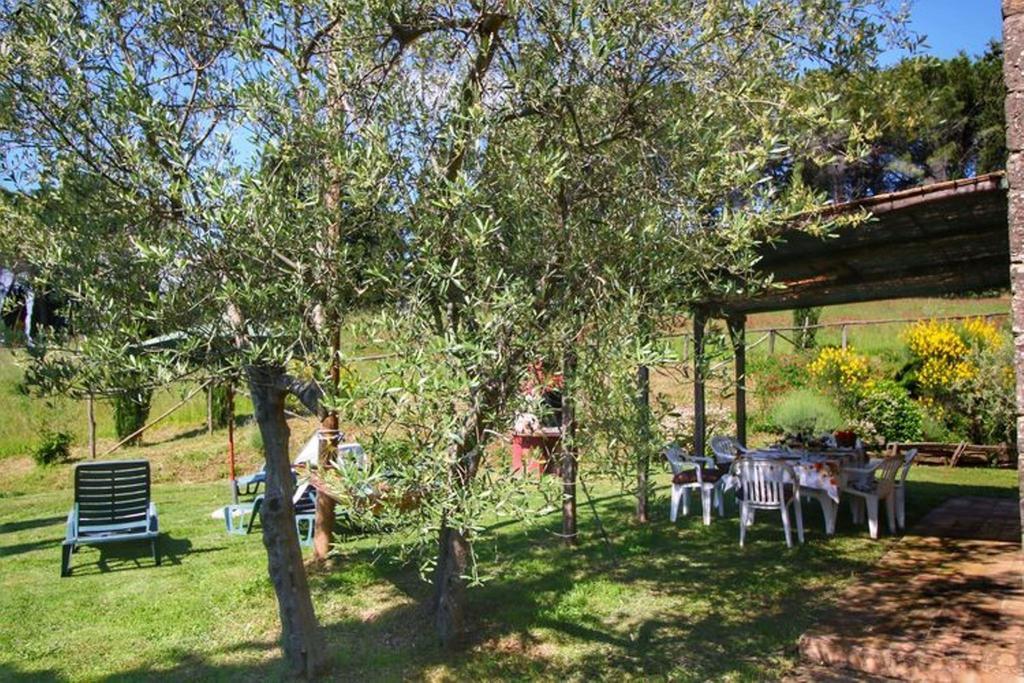 Agriturismo Bellavista Radicondoli エクステリア 写真